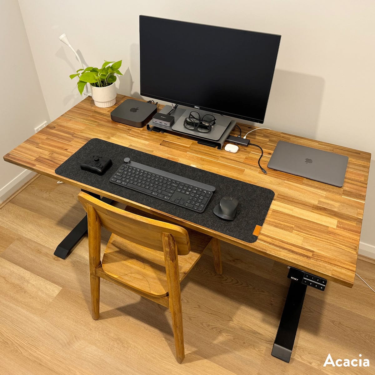 Desky Dual Hardwood Sit Stand Desk 150cm Acacia Desktop and Space Grey Frame