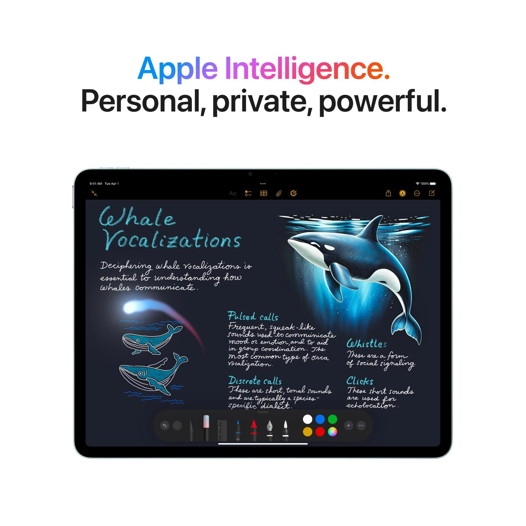 Apple iPad Air 13-inch M3 1TB Wi-Fi (Blue)