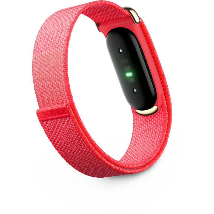Google Fitbit Air (Berry)